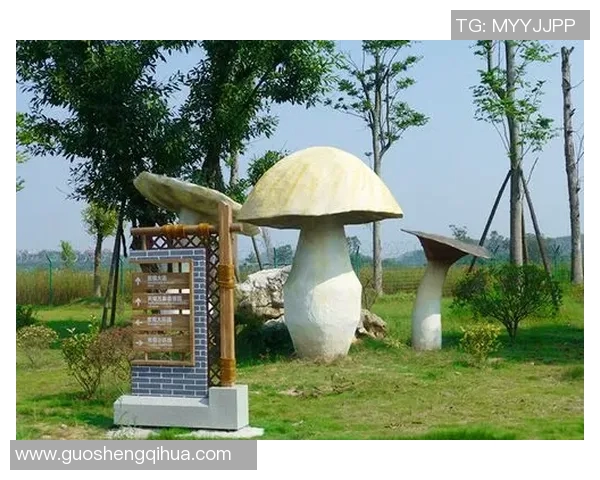 足球场小球星标识牌设计方案助力青少年足球文化推广与场地标识创新