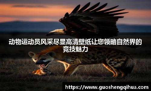 动物运动员风采尽显高清壁纸让您领略自然界的竞技魅力